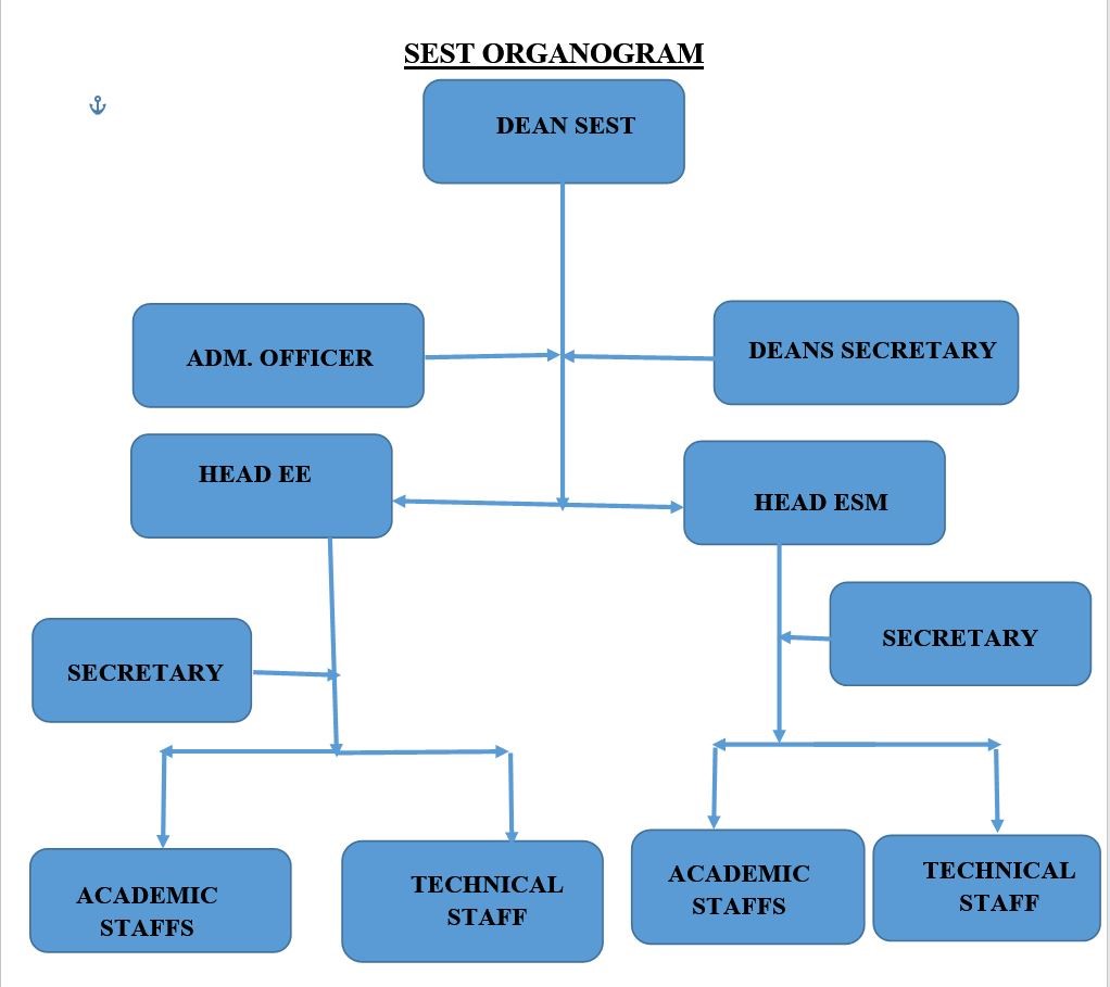 Figure 1. The organization structure